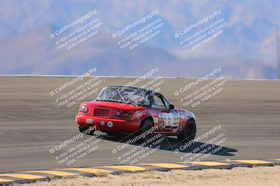 media/Oct-14-2023-Lucky Dog Racing (Sat) [[cef75db616]]/Turn 12 Exit-Bowl Backside (230pm)/